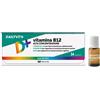 Massigen Dailyvit Vitamina B12 Alta Concentrazione 14 Flaconcini
