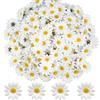 ZoZoMaiy 100Pcs Teste di Fiori Artificiali di Gerbera, 4 cm Margherita di Seta, Petali di Gerbera Finti Bianchi per Feste, Matrimoni, Tavolo Sparsi, Coriandoli per Scrapbooking