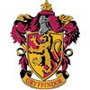STAR CUTOUTS Stemma del Grifondoro ritagliato da parete Harry Potter Wizarding, 61 x 48 x 61 cm