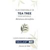 Vaillant Oe Tea Tree 10Ml 10 ml Olio essenziale