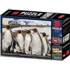 Toybox National Geographic Puzzle 3D Penguins 500 Pz
