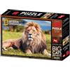 Toybox National Geographic Puzzle 3D African Lion 500 Pz