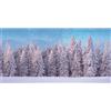 My Village Poster Foresta Invernale per Villaggio Natalizio e Presepe 300x150cm