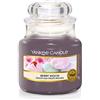 PZ 2 CANDELA Yankee Candle Giara Piccola 104 gr 20-30 Ore Vari Profumi  Fragranze EUR 19,90 - PicClick IT