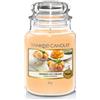 Yankee Candle Grande Mango, Confronta prezzi