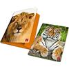 Pigna, Cartella portadocumenti con elastico ANIMAL, dorso 1,2, formato 26x35,5 cm., pacco da 6 pezzi