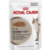 Royal canin ageing +12 gatto 12 buste 85 gr