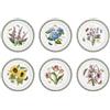 Portmeirion, Set da 6 Piatti, Motivo Giardino, Diametro 25 cm