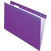 Pendaflex Cartelle portadocumenti sospese rinforzate, formato legale, viola, taglio 1/5, 25/BX (4153 1/5 VIO)
