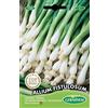 Germisem Allium Fistulosum Semi di Erba Cipollina 2 g