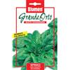 Blumen spinaci lisci gigante de invierno