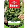 Blumen cicoria grumolo biondo