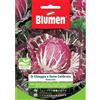 Blumen radicchio di chioggia a seme calibrato