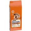 PURINA Dog Chow Mature Senior Agnello 14 kg