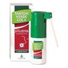 Tantum verde gola 250 mg/100 ml spray per mucosa orale soluzione 15 ml