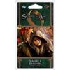 Fantasy Flight Games Il Signore degli Anelli LCG - Viaggio a Rhosgobel (Espansione)