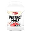 WHY SPORT PERFECT MASS - Proteine Isolate del Siero del Latte - Proteine in Polvere con Vitamine e Minerali per la Massa Muscolare - Gusto Cioccolato Bianco - 1,6 Kg