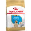 Royal Canin Breed Multipack Risparmio! 2 x Royal Canin Breed Crocchette per cane - 2 x 12 kg Labrador Retriever Puppy