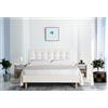 EvergreenWeb Letto Londra Bianco crema 160x190 cm