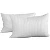 EvergreenWeb Coppia cuscini fiocco memory 60x60 cm