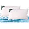 EvergreenWeb Cuscini supersoft ALTO 15 2 cuscini 60x60 cm