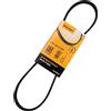 CONTITECH 4PK830 ELAST Cinghia servizi Cinghia Poly-V Cinghia alternatore Cinghia dei servizi