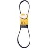 Contitech 5 PK 1145 Cinghie Trapezoidale