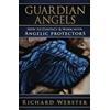 Llewellyn Publications,U.S. Guardian Angels: How to Contact & Work with Angelic Protectors Richard Webster