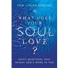 InterVarsity Press What Does Your Soul Love? - Eight Questions That Reveal God`s Work in You Gem Fadling;Alan Fadling