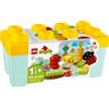 Lego Giardino biologico - Lego Duplo 10984