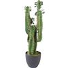 Leaf LEAF-7281 - Cactus artificiale con vaso, 75 cm