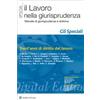 Ipsoa eBook - Trent'anni di diritto del lavoro