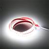 pcning IP67 Impermeabile Strip LED Adesiva 220V 1M 2835 120 leds/m Flessibile Striscia Bianco Freddo 6000K, Strisce LED 220 Volt da Esterno 1 Metri (Bianco Freddo, 1.00)
