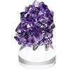 BTSKY Cavalletto Espositore per Braccio in Metallo Argento Regolabile di Piccole Dimensioni con Base Rotonda in Acrilico, Espositore per Monete in Corallo Fossile Agata Minerale Roccia Geodi