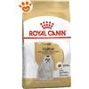 Royal Canin Dog Adult Maltese - Sacco da 500 gr