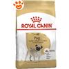 Royal Canin Dog Adult Pug (Carlino) - Sacco da 1,5 kg