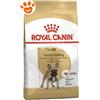 Royal Canin Dog Adult French Bulldog (Bulldog Francese) - Sacco da 3 kg