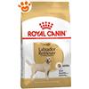 Royal Canin Dog Adult Labrador Retriever - Sacco Da 3 Kg