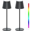 K-Bright 2 pezzi LED Lampada da tavolo senza fili Antracite