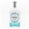 Rau Distillerie GIN GENESI (bottiglia 70 cl)