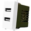 A2ZWORLD Modulo Caricatore USB X2 Da Muro 2 Porte USB 5V 2,1A,Colore Bianco, Compatibile Con Vimar Plana