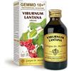 Dr Giorgini Integratore Alimentare, Viburno Gemmoderivato Concentrato Liquido Analcoolico - 100 ml