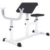 GORILLA SPORTS® Panca per Bicipiti - Regolabile in 5 Livelli di Altezza: Sedile, Piano d'Appoggio del Braccio e Portapesi, Carico Max 200 kg, Bianco - Panca Scott, Preacher Curl, da Fitness, Palestra