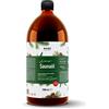 Bano Olio per sauna di Arlberg 1000ml | Olio per infusione di sauna con pino mugo, abete ed eucalipto
