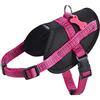 Bobby Easy Safe - Pettorina per cani con medaglietta, Taglia S, in Nylon Riflettente con Copri Manto, Chiusura a Fibbia regolabile, Fucsia, Misura Giropetto 39-50 cm