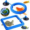 Cobee 2 anelli di alimentazione per pesci per acquario, mangiatoia per pesci e cisterne, accessori per serbatoi di pesci rossi Guppy Bettas, tartaruga (blu)