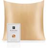 RUIPTSKE Natural Silk Federa, ipoallergenico, 22momme, 100% Seta, 600 Filati, con a Scomparsa Cerniera (Champagne, 65x65cm)