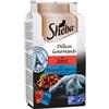 Sheba delices du jour taste of paris 6x50 g