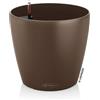 LECHUZA CLASSICO Color 21 noce moscata 13183