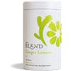 Generico Blend® Tea | Infuso Zenzero e Agrumi Senza Caffeina | Tisana in Foglia Sfusa - 100 Gr